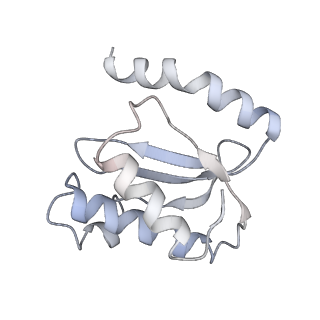 21630_6wdb_o_v1-3
Cryo-EM of elongating ribosome with EF-Tu*GTP elucidates tRNA proofreading (Cognate Structure IV-A)