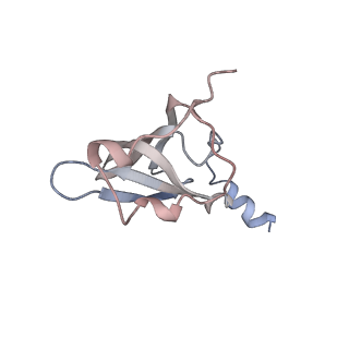 21630_6wdb_p_v1-2
Cryo-EM of elongating ribosome with EF-Tu*GTP elucidates tRNA proofreading (Cognate Structure IV-A)