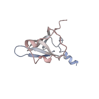 21630_6wdb_p_v1-3
Cryo-EM of elongating ribosome with EF-Tu*GTP elucidates tRNA proofreading (Cognate Structure IV-A)