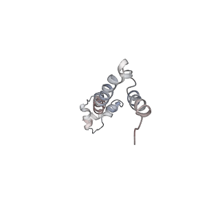 21630_6wdb_q_v1-3
Cryo-EM of elongating ribosome with EF-Tu*GTP elucidates tRNA proofreading (Cognate Structure IV-A)