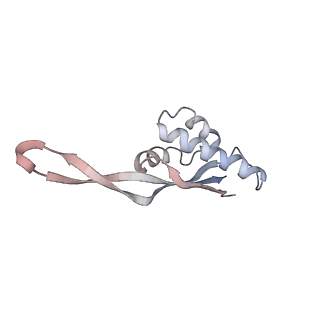 21630_6wdb_s_v1-2
Cryo-EM of elongating ribosome with EF-Tu*GTP elucidates tRNA proofreading (Cognate Structure IV-A)