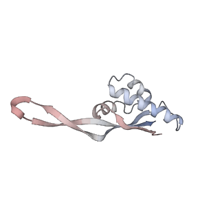 21630_6wdb_s_v1-3
Cryo-EM of elongating ribosome with EF-Tu*GTP elucidates tRNA proofreading (Cognate Structure IV-A)