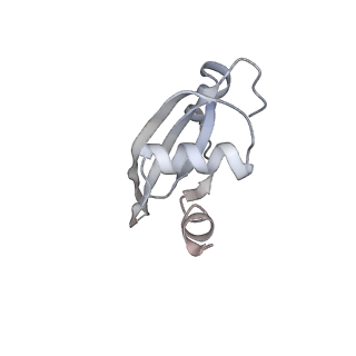 21630_6wdb_t_v1-3
Cryo-EM of elongating ribosome with EF-Tu*GTP elucidates tRNA proofreading (Cognate Structure IV-A)