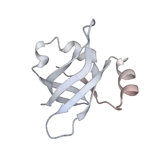 21630_6wdb_v_v1-2
Cryo-EM of elongating ribosome with EF-Tu*GTP elucidates tRNA proofreading (Cognate Structure IV-A)