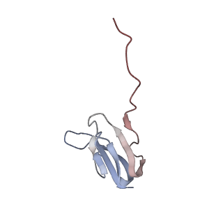 21630_6wdb_w_v1-2
Cryo-EM of elongating ribosome with EF-Tu*GTP elucidates tRNA proofreading (Cognate Structure IV-A)