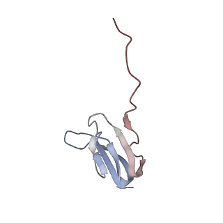 21630_6wdb_w_v1-3
Cryo-EM of elongating ribosome with EF-Tu*GTP elucidates tRNA proofreading (Cognate Structure IV-A)