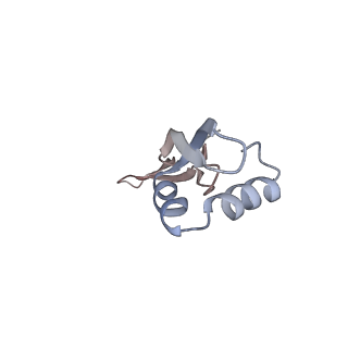 21630_6wdb_x_v1-2
Cryo-EM of elongating ribosome with EF-Tu*GTP elucidates tRNA proofreading (Cognate Structure IV-A)