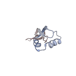 21630_6wdb_x_v1-3
Cryo-EM of elongating ribosome with EF-Tu*GTP elucidates tRNA proofreading (Cognate Structure IV-A)