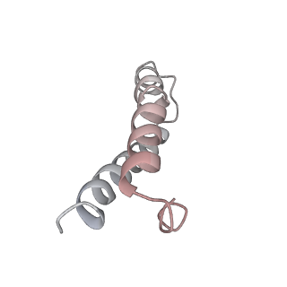 21630_6wdb_y_v1-2
Cryo-EM of elongating ribosome with EF-Tu*GTP elucidates tRNA proofreading (Cognate Structure IV-A)