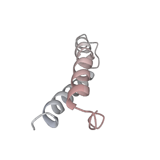 21630_6wdb_y_v1-3
Cryo-EM of elongating ribosome with EF-Tu*GTP elucidates tRNA proofreading (Cognate Structure IV-A)