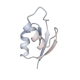 21630_6wdb_z_v1-2
Cryo-EM of elongating ribosome with EF-Tu*GTP elucidates tRNA proofreading (Cognate Structure IV-A)