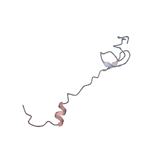 21631_6wdc_B_v1-3
Cryo-EM of elongating ribosome with EF-Tu*GTP elucidates tRNA proofreading (Cognate Structure IV-B)