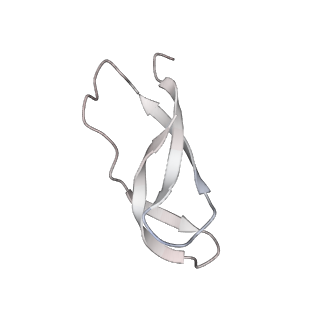 21631_6wdc_C_v1-3
Cryo-EM of elongating ribosome with EF-Tu*GTP elucidates tRNA proofreading (Cognate Structure IV-B)