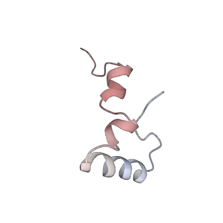 21631_6wdc_D_v1-2
Cryo-EM of elongating ribosome with EF-Tu*GTP elucidates tRNA proofreading (Cognate Structure IV-B)