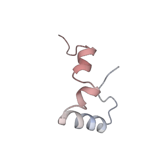 21631_6wdc_D_v1-3
Cryo-EM of elongating ribosome with EF-Tu*GTP elucidates tRNA proofreading (Cognate Structure IV-B)