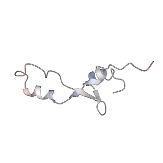 21631_6wdc_E_v1-3
Cryo-EM of elongating ribosome with EF-Tu*GTP elucidates tRNA proofreading (Cognate Structure IV-B)