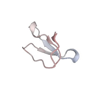 21631_6wdc_F_v1-2
Cryo-EM of elongating ribosome with EF-Tu*GTP elucidates tRNA proofreading (Cognate Structure IV-B)
