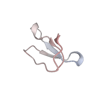 21631_6wdc_F_v1-3
Cryo-EM of elongating ribosome with EF-Tu*GTP elucidates tRNA proofreading (Cognate Structure IV-B)