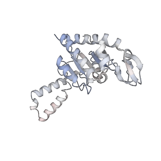 21631_6wdc_G_v1-2
Cryo-EM of elongating ribosome with EF-Tu*GTP elucidates tRNA proofreading (Cognate Structure IV-B)