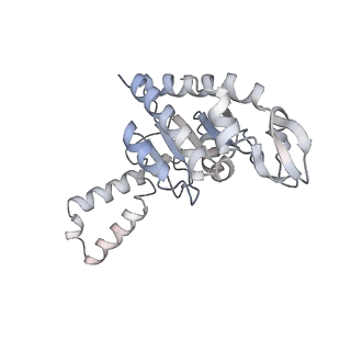 21631_6wdc_G_v1-3
Cryo-EM of elongating ribosome with EF-Tu*GTP elucidates tRNA proofreading (Cognate Structure IV-B)