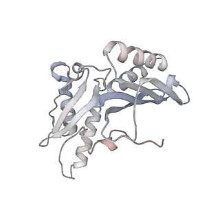 21631_6wdc_H_v1-2
Cryo-EM of elongating ribosome with EF-Tu*GTP elucidates tRNA proofreading (Cognate Structure IV-B)