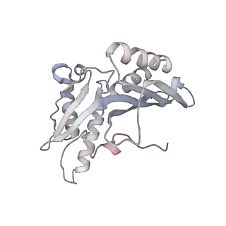 21631_6wdc_H_v1-3
Cryo-EM of elongating ribosome with EF-Tu*GTP elucidates tRNA proofreading (Cognate Structure IV-B)