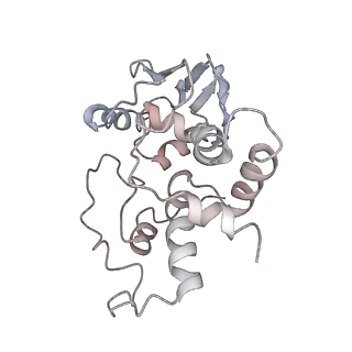 21631_6wdc_I_v1-2
Cryo-EM of elongating ribosome with EF-Tu*GTP elucidates tRNA proofreading (Cognate Structure IV-B)