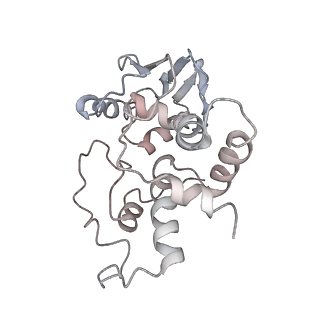 21631_6wdc_I_v1-3
Cryo-EM of elongating ribosome with EF-Tu*GTP elucidates tRNA proofreading (Cognate Structure IV-B)