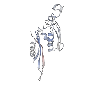 21631_6wdc_J_v1-2
Cryo-EM of elongating ribosome with EF-Tu*GTP elucidates tRNA proofreading (Cognate Structure IV-B)