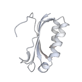21631_6wdc_K_v1-2
Cryo-EM of elongating ribosome with EF-Tu*GTP elucidates tRNA proofreading (Cognate Structure IV-B)