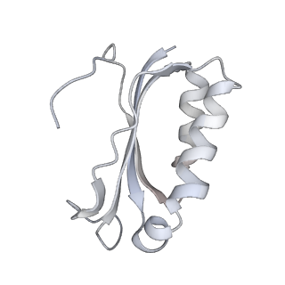 21631_6wdc_K_v1-3
Cryo-EM of elongating ribosome with EF-Tu*GTP elucidates tRNA proofreading (Cognate Structure IV-B)