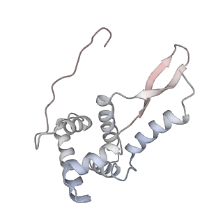 21631_6wdc_L_v1-2
Cryo-EM of elongating ribosome with EF-Tu*GTP elucidates tRNA proofreading (Cognate Structure IV-B)