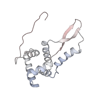 21631_6wdc_L_v1-3
Cryo-EM of elongating ribosome with EF-Tu*GTP elucidates tRNA proofreading (Cognate Structure IV-B)