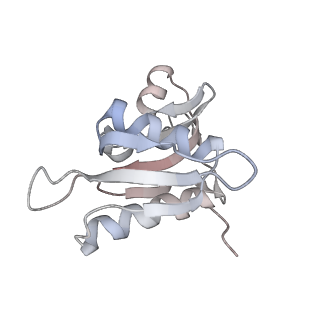 21631_6wdc_M_v1-2
Cryo-EM of elongating ribosome with EF-Tu*GTP elucidates tRNA proofreading (Cognate Structure IV-B)