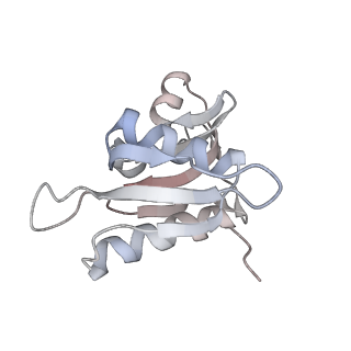 21631_6wdc_M_v1-3
Cryo-EM of elongating ribosome with EF-Tu*GTP elucidates tRNA proofreading (Cognate Structure IV-B)