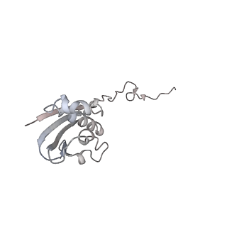 21631_6wdc_N_v1-2
Cryo-EM of elongating ribosome with EF-Tu*GTP elucidates tRNA proofreading (Cognate Structure IV-B)