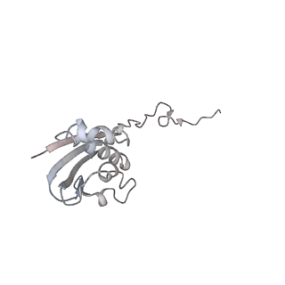 21631_6wdc_N_v1-3
Cryo-EM of elongating ribosome with EF-Tu*GTP elucidates tRNA proofreading (Cognate Structure IV-B)