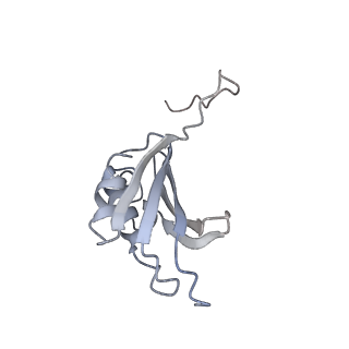 21631_6wdc_P_v1-2
Cryo-EM of elongating ribosome with EF-Tu*GTP elucidates tRNA proofreading (Cognate Structure IV-B)