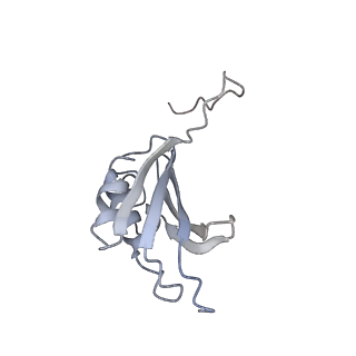 21631_6wdc_P_v1-3
Cryo-EM of elongating ribosome with EF-Tu*GTP elucidates tRNA proofreading (Cognate Structure IV-B)