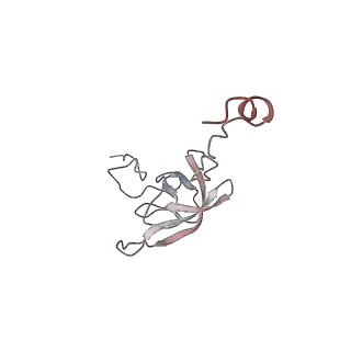 21631_6wdc_Q_v1-2
Cryo-EM of elongating ribosome with EF-Tu*GTP elucidates tRNA proofreading (Cognate Structure IV-B)