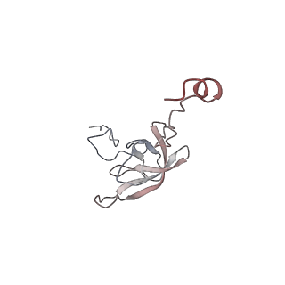 21631_6wdc_Q_v1-3
Cryo-EM of elongating ribosome with EF-Tu*GTP elucidates tRNA proofreading (Cognate Structure IV-B)