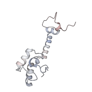 21631_6wdc_R_v1-2
Cryo-EM of elongating ribosome with EF-Tu*GTP elucidates tRNA proofreading (Cognate Structure IV-B)