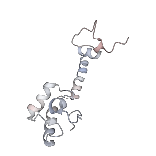 21631_6wdc_R_v1-3
Cryo-EM of elongating ribosome with EF-Tu*GTP elucidates tRNA proofreading (Cognate Structure IV-B)