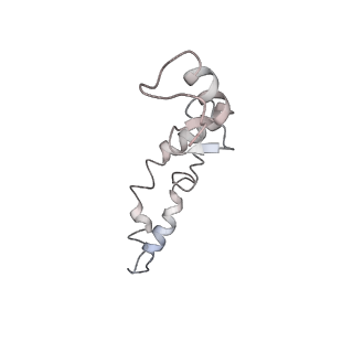 21631_6wdc_S_v1-2
Cryo-EM of elongating ribosome with EF-Tu*GTP elucidates tRNA proofreading (Cognate Structure IV-B)
