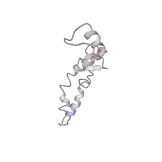 21631_6wdc_S_v1-3
Cryo-EM of elongating ribosome with EF-Tu*GTP elucidates tRNA proofreading (Cognate Structure IV-B)