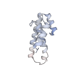21631_6wdc_T_v1-2
Cryo-EM of elongating ribosome with EF-Tu*GTP elucidates tRNA proofreading (Cognate Structure IV-B)