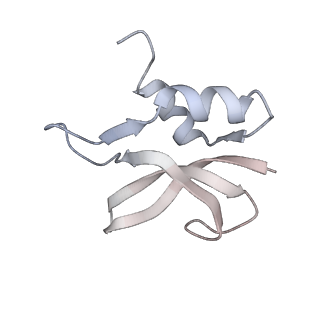 21631_6wdc_U_v1-2
Cryo-EM of elongating ribosome with EF-Tu*GTP elucidates tRNA proofreading (Cognate Structure IV-B)