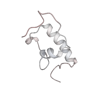 21631_6wdc_W_v1-2
Cryo-EM of elongating ribosome with EF-Tu*GTP elucidates tRNA proofreading (Cognate Structure IV-B)