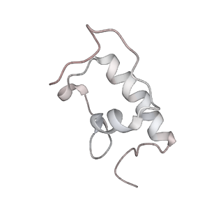 21631_6wdc_W_v1-3
Cryo-EM of elongating ribosome with EF-Tu*GTP elucidates tRNA proofreading (Cognate Structure IV-B)