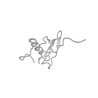 21631_6wdc_X_v1-2
Cryo-EM of elongating ribosome with EF-Tu*GTP elucidates tRNA proofreading (Cognate Structure IV-B)